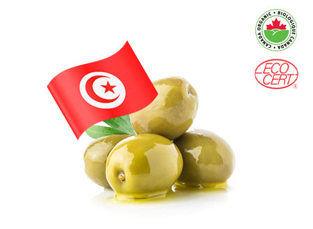 Organic Tunisian Everyday Olive Oil